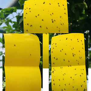 Không độc hại không thấm nước chống nắng Bug Catcher Vàng Sticker trái cây Fly Trap trang trại ngoài trời Vườn bán buôn Trung Quốc Nhà cung cấp - Product Image 6