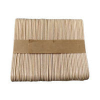Bâtonnets de crème glacée faits maison en bois de bouleau blanc, écologiques, économiques, portables, avec emballage personnalisé, faible MOQ
