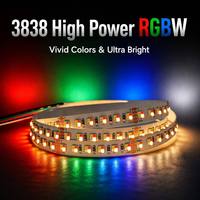 Lampu Strip LED SMD3838 RGBW 24V 120 LED/m PCB 10mm Analog 4-Channel PWM Fleksibel untuk Pencahayaan Dekoratif Dalam Ruangan