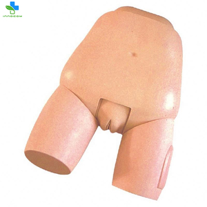 โมเดล PVC สำหรับสอนทางการแพทย์การดูแลมารดาการตรวจทางนรีเวชของการตรวจมดลูกและแบบจำลองการประเมินผล