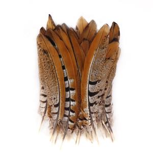 Grosir 15-20cm alami Reeves Pheasant ekor bulu hiasan kepala India pola pemasok mentah Xinyuling merek Cina - Product Image 1
