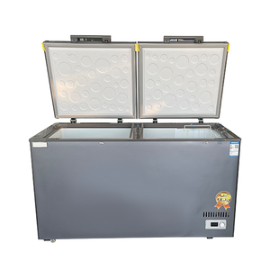 Congélateur horizontal à double porte commercial, grande capacité, alimentation électrique, pour usage domestique et hôtelier - Product Image 1