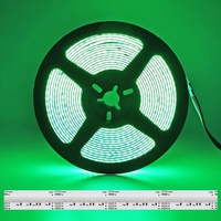 24V 12V Haute Densité LED Lumière RGBW Bande Bande COB Rouleau pour Plafond Escaliers Paysage Cuivre Corps Commande Vocale 12mm PCB Largeur
