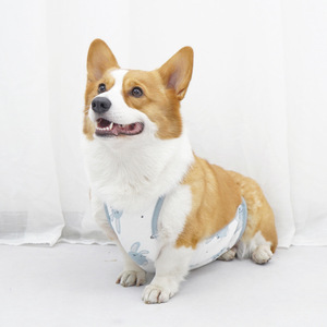สายรัดหน้าท้องสุนัข ผ้าฝ้ายใส่สบายทุกฤดูกาล สำหรับคอร์กี้และแมว - Product Image 2