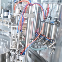 Machine automatique de remplissage et de bouchage de sachets à bec verseur rotatif en acier inoxydable 304 pour jus, sauces, détergents et Doypack
