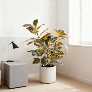 ต้นยางพาราปลอมหลากสีคุณภาพสูงสำหรับตกแต่งภายในบ้าน ขายส่ง - Product Image 4