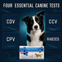 Carte de test rapide 4-en-1 pour chiens, détection des antigènes des virus CDV, CPV, CCV et Toxoplasma – Approvisionnement direct usine