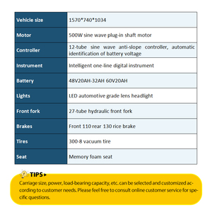 Triciclos eléctricos abiertos NUEVO Triciclo eléctrico de 3 ruedas grande de China Triciclo de pasajeros y carga Triciclo eléctrico trimotor eléctrico - Product Image 6