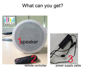 ลำโพงโคแอกเชียล 5 นิ้ว 30 วัตต์ 15 โวลต์/2 แอมป์ บลูทูธ USB ABS ลำโพงติดเพดานแบบแอคทีฟ โรงงาน OEM ODM ขายตรง คุณภาพสูง เสียงดี - Product Image 3