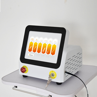 Lipolyse portative amincissant l'équipement d'Endolaser du laser 980nm de diode de machine de liposuccion d'enlèvement de graisse