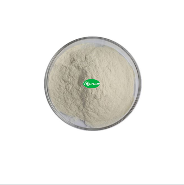 Factory Supply High Quality Yeast Beta Glutan Powder 70%Yeast Beta Glucan
