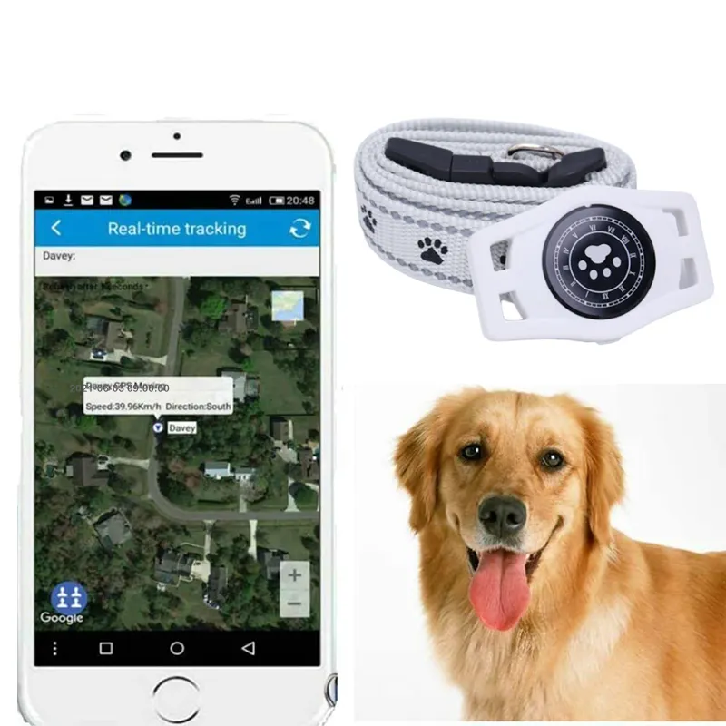 Dispositivo di localizzazione posizione dell'animale domestico 2g Tracker guinzaglio localizzatore Gps Gsm collare per cani