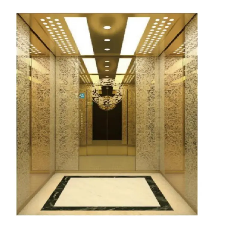 MSDS asansör satılık yüksek kalite özel renkli son ısmarlama asansör ev asansör