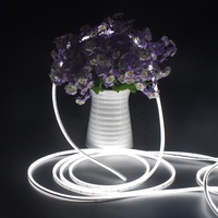Bande lumineuse LED néon flexible en silicone ultra-mince de petite taille, vue de dessus, 5*5mm, DC24V, 322leds/m, SMD2216, PCB flexible de 4mm, bande lumineuse LED néon