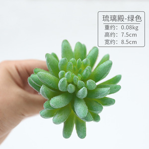 Bán Buôn Nhân Tạo Mini Xương Rồng Cây Mọng Nước Trang Trí - Product Image 6