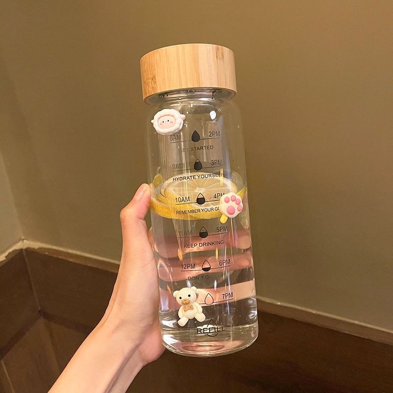 20oz support customization Bamboo lid single layer glass water bottle With Tea Infuser