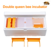 Nouvelle boîte d'accouplement double pour reines d'abeilles, en plastique, avec mousse pollinisatrice, outil de ruche pour l'élevage, mini ruche
