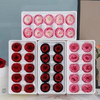 Têtes de roses éternelles naturelles et artisanales en gros, 4-5 cm, roses Austin réelles pour la fête des Mères, les mariages et la décoration intérieure