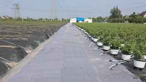 Toile de ciment de génie civil la plus vendue Esay-installation de terrassement Geomat en béton pour le contrôle de l'érosion et la protection des pentes - Product Image 2