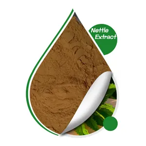 Chinese Manufacture Nettle Extract Free Sample Wholesale Raw Material Nettle Extract Powder