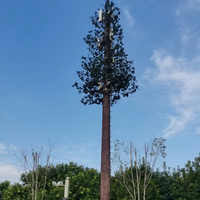 Projet de station de base cellulaire forestière et périurbaine : Tour de télécommunications en acier structurel de couleur personnalisée, design discret, arbre artificiel