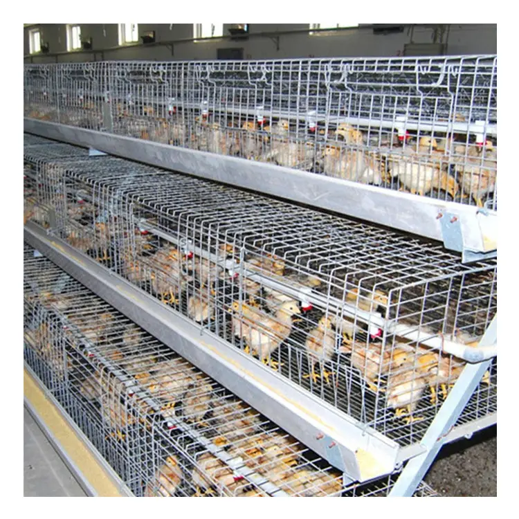 Best Seller Galvanized Egg Layer Chicken Battery Cage Used for Farm Poultry Hens Raising Hens Multifunctional Provided Xly-jt211