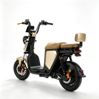 Scooter électrique vintage à deux places, batterie amovible 48V, frein à disque avant, vélo électrique pour adultes, idéal pour les trajets en ville