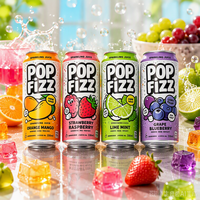 OEM Private Label Aangepaste Premix Geblikte Konjac Jelly Drank Fruit Sap Vodka Alcoholische Sprankelende Sirop Cocktail Drank