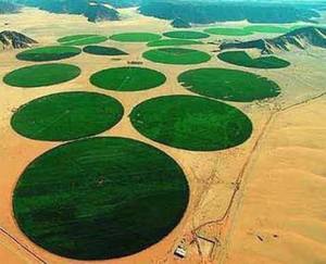 2025新型移动枢轴灌溉系统，用于30ha圆形地块金属齿轮箱和电机核心部件 - Product Image 6