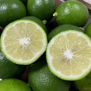 Groothandel Bulk Fruit Iqf Bevroren Gesneden Lime/Citroen