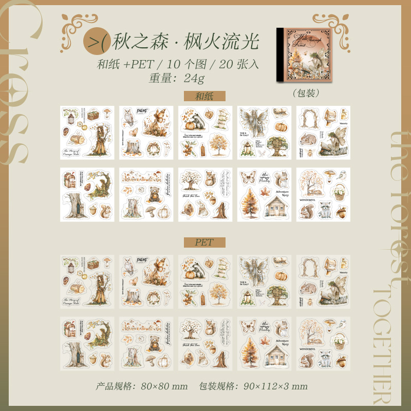 C Fiamma d'acero della foresta autunnale e luce brillante