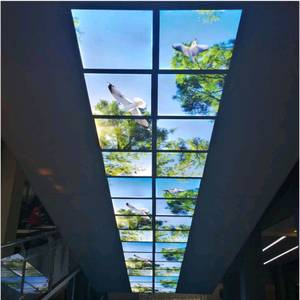 Lámpara de Techo Moderna para Pasillo de Hotel, Panel Cuadrado LED, Luz Blanca Cálida de 60*60, Atenuación Natural, Cuerpo de PC, Cielo Azul - Product Image 6
