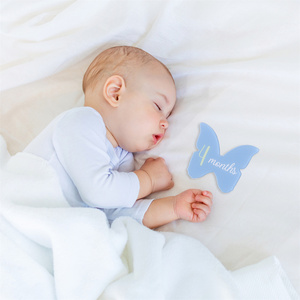 Cartes de jalons papillon givrées, lot de 14 cartes 'Bonjour le Monde' et '100 Jours', accessoires photo mensuels pour bébé, ensemble d'accessoires photo mensuels à faible MOQ - Product Image 3