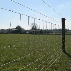 Las fábricas chinas venden cercas galvanizadas para granjas de caballos y ganado para proteger la seguridad de las granjas ganaderas y los pastos - Product Image 1