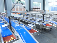 Hotselling industriële automatische avocado sorteermachine met hoge efficiëntie LIJIE LJWS-1000 380V multifunctioneel