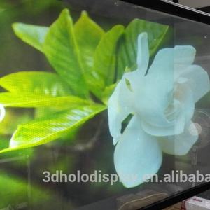 Newcome — Projection arrière de corée du sud, <span class=keywords><strong>Film</strong></span> Transparent acrylique de Projection arrière pour le verre, meilleure Image d'hologramme 3d - Product Image 2