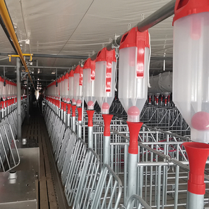 Sistema de Línea de Alimentación Automática de Precisión para Granjas de Cerdos |   Equipo para Alimentación de Ganado que Reduce el Desperdicio - Product Image 4