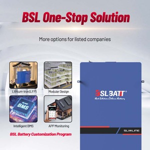 Batería de Litio Lifepo4 <span class=keywords><strong>BSLBATT</strong></span> 51.2v 300ah, Batería de Litio para el Hogar, 20kwh 15kwh 10kwh - Product Image 2