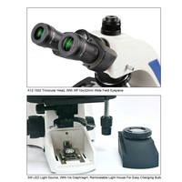 Microscopio Biológico y Metalúrgico Binocular de Alta Definición CAICHI con Cabezal de Visualización Giratorio de 360° para Investigación de Laboratorio
