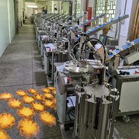 Machine professionnelle pour la fabrication de tartes, machine à croûtes de graham, machine à croûtes de tarte, machine à former des tartes aux œufs