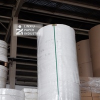 Rouleau de papier personnalisable de haute qualité 210 g/m² enduit de PE imperméable en pâte de bois vierge pour gobelets durables, contenants alimentaires, polyvalent