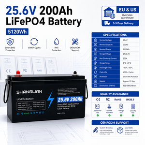 Paquete de Baterías LiFePO4 de 25.6V 200Ah con BMS Integrado, 6000 Ciclos, IP65, Almacén en Polonia, Grado A, Bluetooth, Logotipo Personalizado, Capacidad y Color - Product Image 1