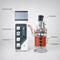 Réacteur bioreacteur lactique Ruiyuan 1-20L, contrôlé par PLC, en verre, avec capteurs de pH, de DO et de température