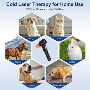 Appareil de thérapie laser froid à lumière rouge de classe 4 fiable pour l'arthrite rhumatoïde, les douleurs musculaires, les tensions et les douleurs au genou - Product Image 4