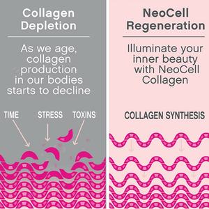 Tabletas de Colágeno OEM/ODM con Vitamina C para Cabello, Piel, Uñas y Articulaciones - Product Image 4