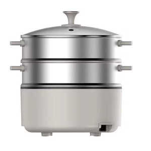 Cuiseur vapeur électrique multifonctionnel avec capacité de 16 L en acier inoxydable, contrôle numérique, vapeur rapide, sécurité, arrêt automatique pour un usage domestique - Product Image 1