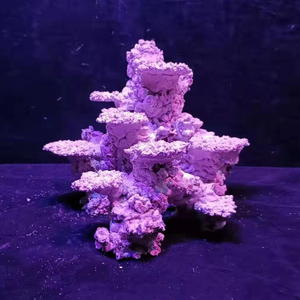 Groothandel Landschap <span class=keywords><strong>Aquarium</strong></span> Kunstmatige Coral <span class=keywords><strong>Rock</strong></span> Voor Marine Reef Tank - Product Image 3