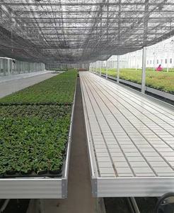 <span class=keywords><strong>Serre</strong></span> à cadre en <span class=keywords><strong>A</strong></span> pour la culture hydroponique de légumes, de laitues et de salades, système de canaux en PVC NFT - Product Image 3