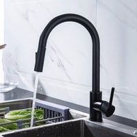 Robinet d'eau chaude et froide AMAXO en acier inoxydable 304, idéal pour les éviers de cuisine et les éviers de buanderie de balcon