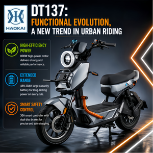 Vélo électrique léger 48V 800W pour adultes, batterie au plomb-acide 20AH, scooter électrique urbain 25km/h pour les trajets quotidiens - Product Image 1
